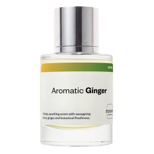 Dossier - Aromatic Ginger - Inspired by L'Immensit?? - Men EDP | 1.7 fl oz (50ml) - Ginger Perfume - Aromatic Ginger Eau de Parfum for Men - Long-Lasting. Vegan & Paraben-Free. Cruelty-Free